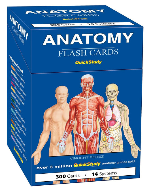 Inside the QuickStudy anatomy card deck