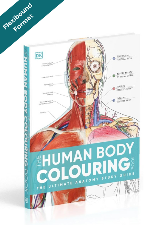 Anatomy coloring books and study guides for medical students