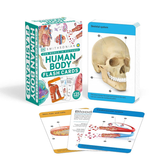 Flash cards and study guides for effective studying