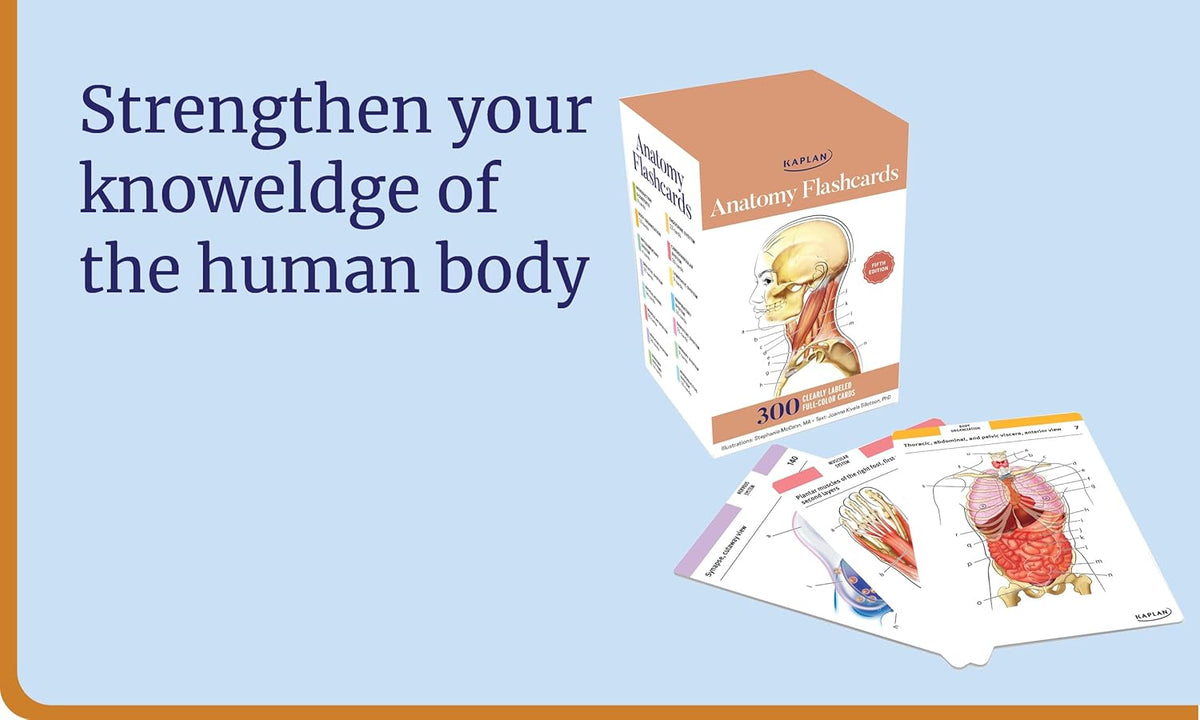 Anatomy Flashcards: 300 Flashcards with Anatomically Precise Drawings and Exhaustive Descriptions