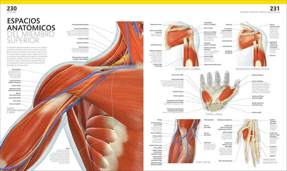 El Gran Libro Del Cuerpo Humano — sistemas del cuerpo explicados