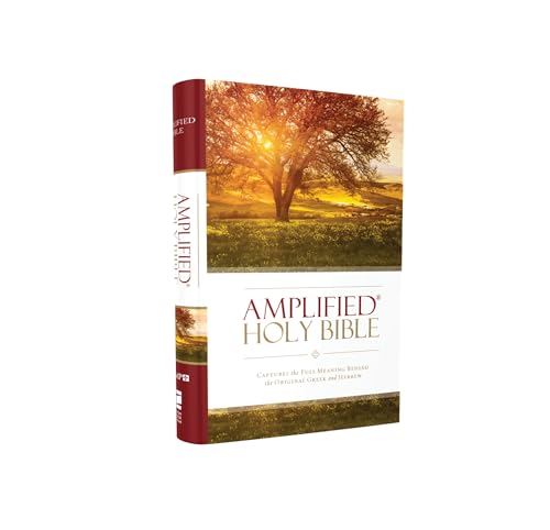 Amplified Bible-Am: Captures the Full Meaning Behind the Original Greek and Hebrew by Zondervan, Hardcover book cover