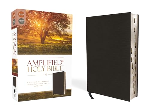Amplified-Am: Captures the Full Meaning Behind the Original Greek and Hebrew by Zondervan, Bonded Leather book cover