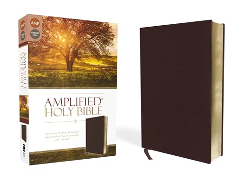 Amplified Bible-Am: Captures the Full Meaning Behind the Original Greek and Hebrew by Zondervan, Bonded Leather book cover