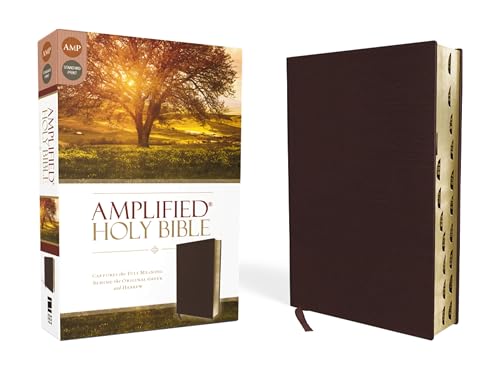 Amplified-Am: Captures the Full Meaning Behind the Original Greek and Hebrew by Zondervan, Bonded Leather book cover