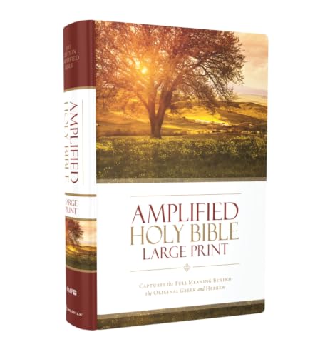 Amplified Bible-Am-Large Print: Captures the Full Meaning Behind the Original Greek and Hebrew by Zondervan, Hardcover book cover