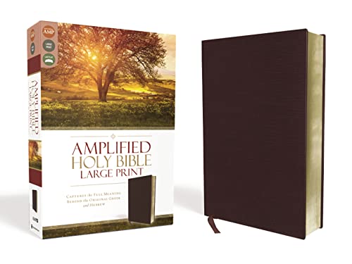 Amplified Bible-Am-Large Print: Captures the Full Meaning Behind the Original Greek and Hebrew by Zondervan, Bonded Leather book cover