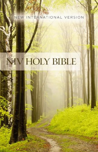 NIV, Value Outreach Bible, Paperback (Special) by Zondervan, Paperback book cover