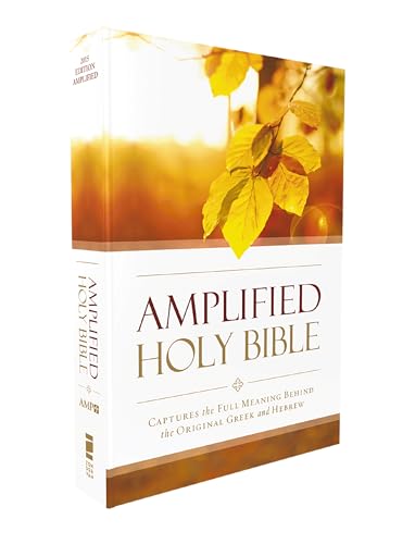 Amplified Outreach Bible, Paperback: Capture the Full Meaning Behind the Original Greek and Hebrew (Copyright 2015) by Zondervan, Paperback book cover