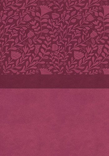 Niv, Super Giant Print Reference Bible (Font Size: 16.5-Point), Leathersoft, Pink, Red Letter, Thumb Indexed, Comfort Print by Zondervan, Imitation Leather book cover