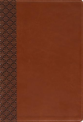 Amplified Holy Bible, Large Print, Leathersoft, Brown: Captures the Full Meaning Behind the Original Greek and Hebrew by Zondervan, Imitation Leather book cover