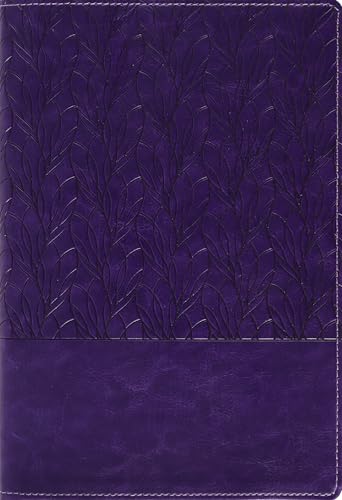 Amplified Holy Bible, Large Print, Leathersoft, Purple: Captures the Full Meaning Behind the Original Greek and Hebrew by Zondervan, Imitation Leather book cover