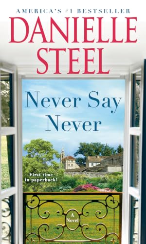 Never Say Never book cover