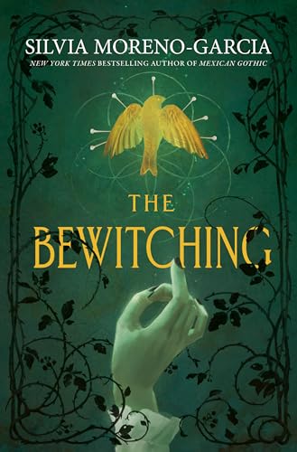 The Bewitching book cover