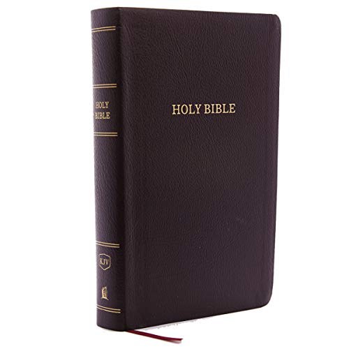 KJV, Reference Bible, Personal Size Giant Print, Bonded Leather, Burgundy, Indexed, Red Letter Edition by Thomas Nelson, Bonded Leather book cover