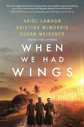 When We Had Wings book cover