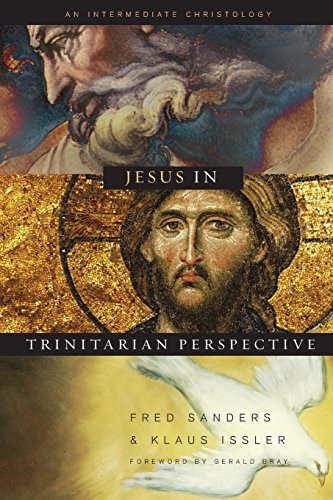 Jesus in Trinitarian Perspective: An Introductory Christology book cover
