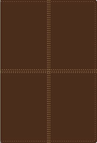 Bilingual Bible-PR-NIV/Rvr 1960 by Zondervan, Imitation Leather book cover