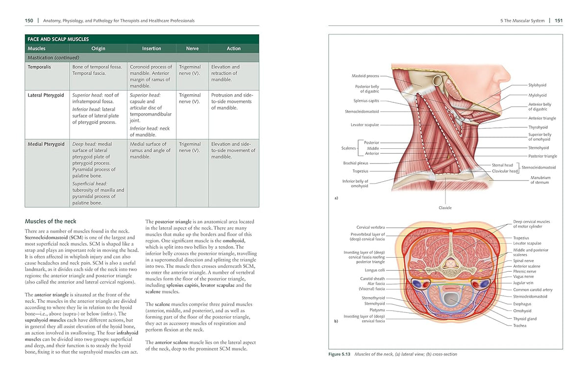 Illustrated human body reference covering anatomy, physiology and pathology
