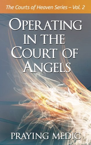 Operating in the Court of Angels book cover