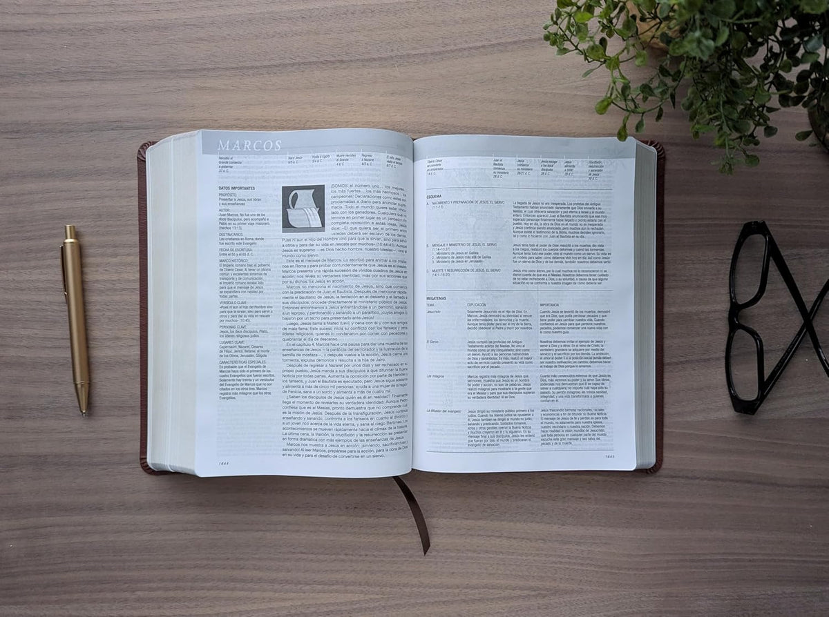 Biblia De Estudio Del Diario Vivir NTV (Sentipiel, Café, Letra Roja) (Spanish Edition)