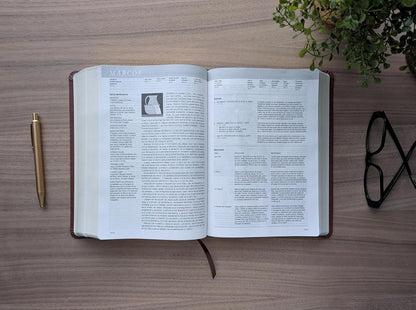 Biblia De Estudio Del Diario Vivir NTV (Sentipiel, Café, Letra Roja) (Spanish Edition)