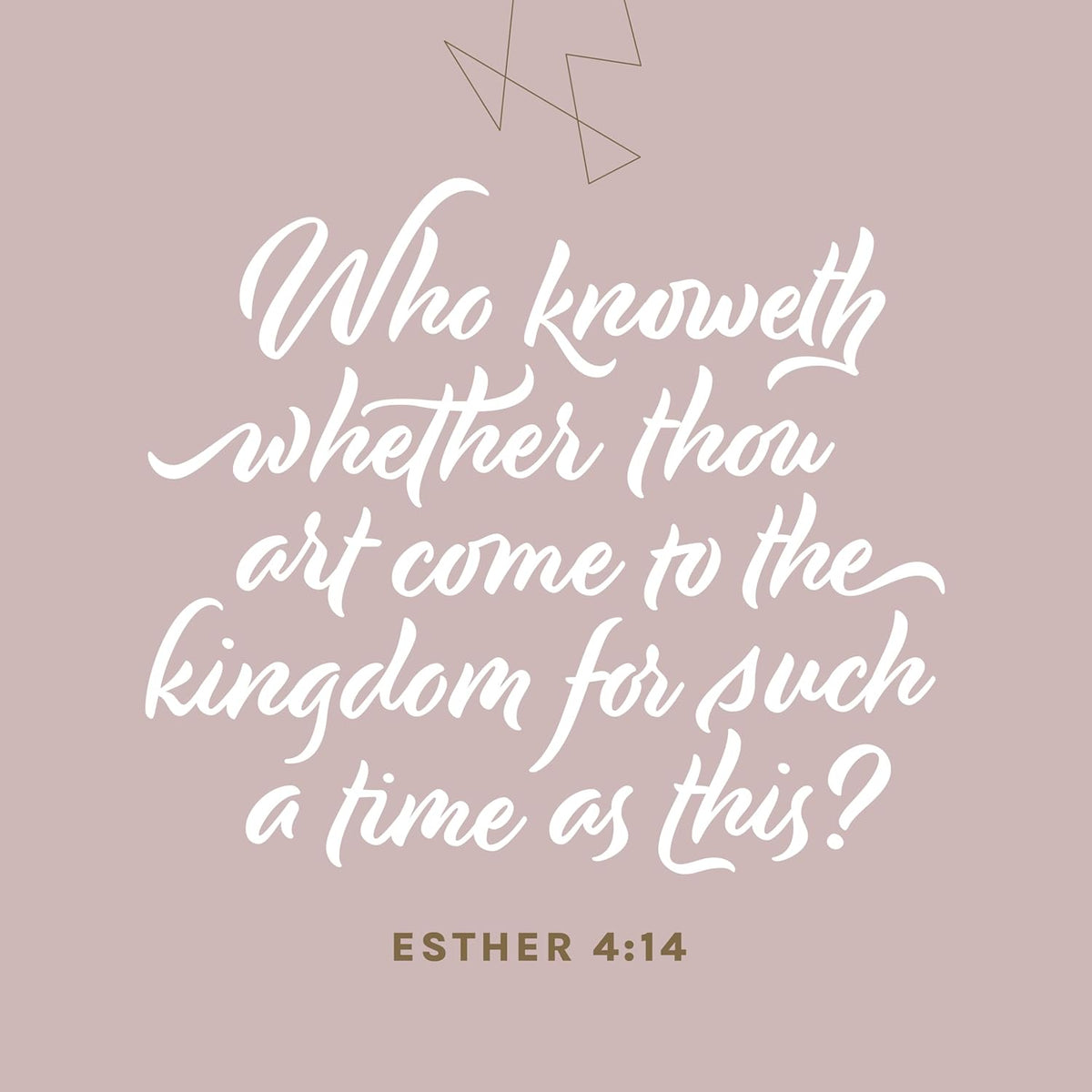 KJV Every Woman'S Bible, Filament Enabled (Leatherlike, Periwinkle Purple, Red Letter)