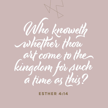 KJV Every Woman'S Bible, Filament Enabled (Leatherlike, Periwinkle Purple, Red Letter)