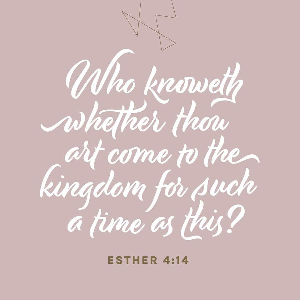 KJV Every Woman'S Bible, Filament Enabled (Leatherlike, Rose Gold, Indexed, Red Letter)
