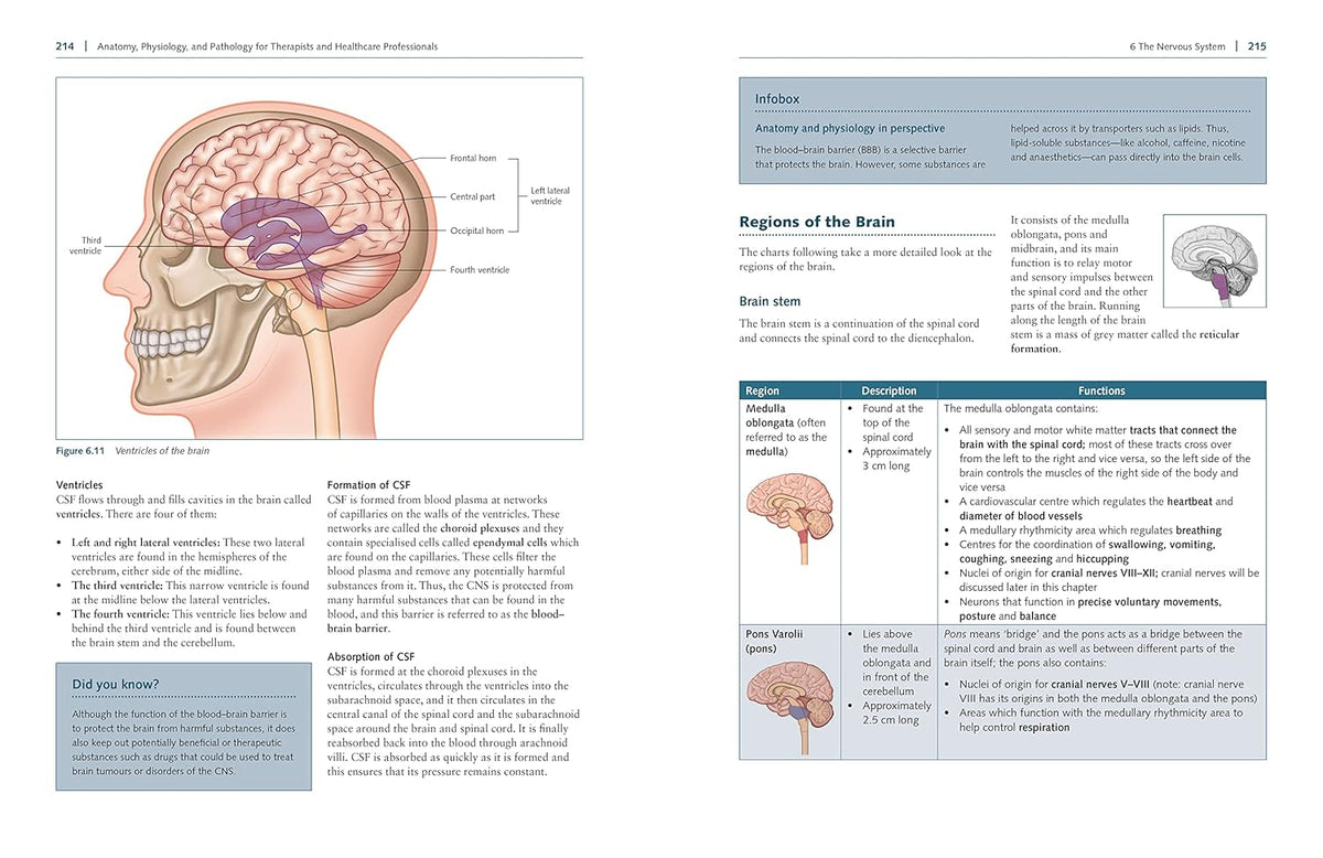 Anatomy textbook with study tips for massage, nursing and bodywork students