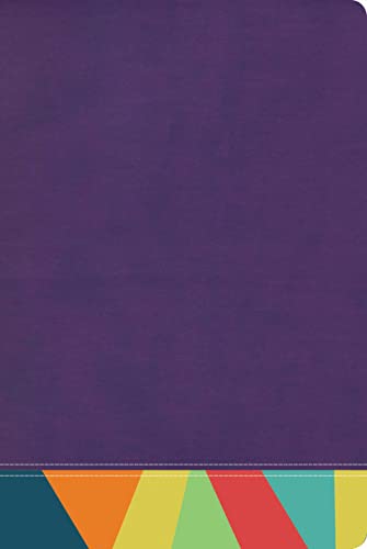 Rvr 1960 Biblia de Estudio Arcoiris, Morado/Multicolor by B&h Espanol Editorial, Imitation Leather book cover