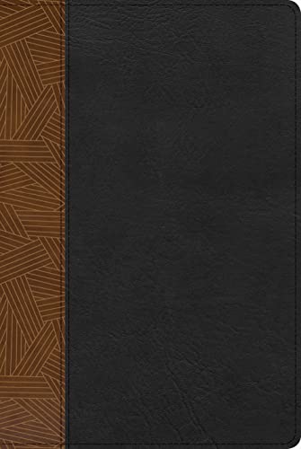 Rvr 1960 Biblia de Estudio Arcoiris, Tostado/Negro Simil Piel Con Indice by B&h Espanol Editorial, Imitation Leather book cover