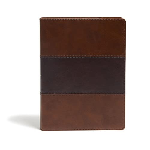 KJV Study Bible, Full-Color, Saddle Brown Leathertouch, Indexed by Holman Bible Publishers, Imitation Leather book cover