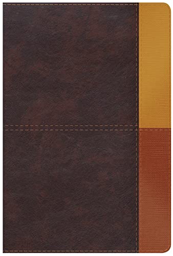 Rvr 1960 Biblia de Estudio Arcoiris, Cocoa/ Terracota Simil Piel Con Indice by B&h Espanol Editorial, Imitation Leather book cover
