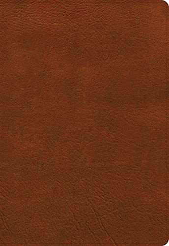 NASB Super Giant Print Reference Bible, Burnt Sienna Leathertouch by Holman Bible Publishers, Imitation Leather book cover