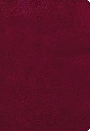 NASB Super Giant Print Reference Bible, Burgundy Leathertouch, Indexed by Holman Bible Publishers, Imitation Leather book cover