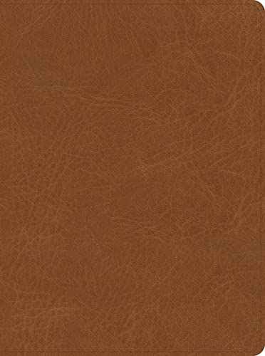 CSB He Reads Truth Bible, Saddle Leathertouch, Indexed by He Reads Truth, Imitation Leather book cover