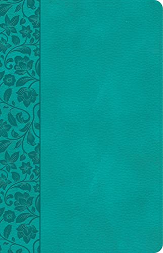 CSB Large Print Personal Size Reference Bible, Digital Study Edition, Easy-To-Read Optimal Type, Teal Leathertouch, Indexed by Csb Bibles by Holman, Imitation Leather book cover