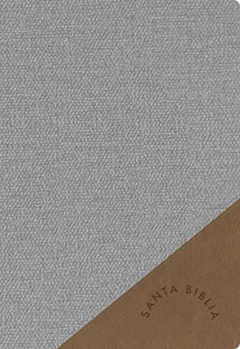 Rvr 1960 Biblia Letra Supergigante, Gris Simil Piel (Edicion 2023): Con Referencias. Nueva Tipografia (Edicion 2023) by B&h Espanol Editorial, Imitation Leather book cover