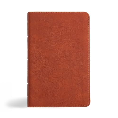 NASB Personal Size Bible, Burnt Sienna Leathertouch by Holman Bible Publishers, Imitation Leather book cover