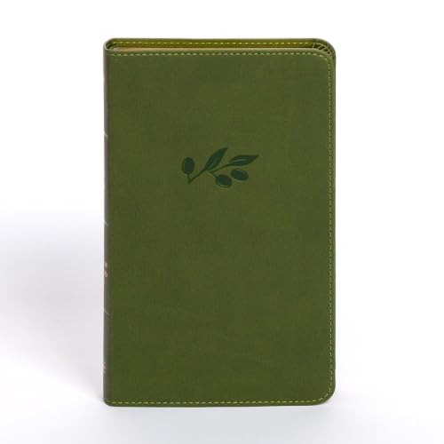 NASB Personal Size Bible, Olive Leathertouch by Holman Bible Publishers, Imitation Leather book cover