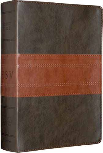 Study Bible-ESV-Trail Design by Esv Bibles, Imitation Leather book cover