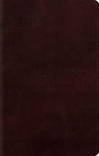 Large Print Personal Size Bible-ESV by Esv Bibles, Imitation Leather book cover