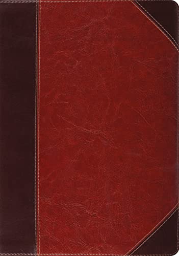 Study Bible-ESV-Portfolio Design by Esv Bibles, Imitation Leather book cover