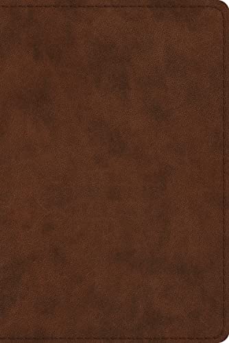 Study Bible-ESV-Personal Size by Esv Bibles, Imitation Leather book cover