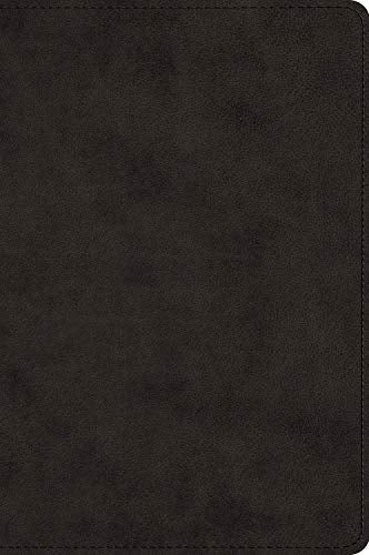 Large Print Bible-ESV by Esv Bibles, Imitation Leather book cover