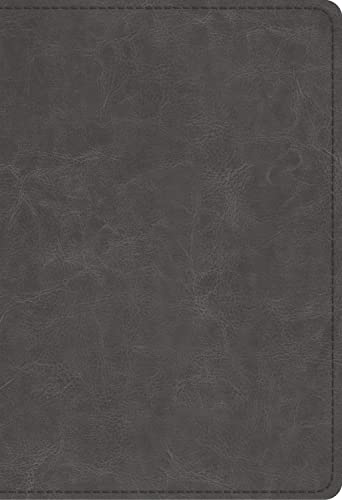 Student Study Bible-ESV by Esv Bibles, Imitation Leather book cover