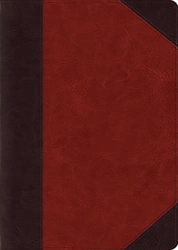 ESV Study Bible, Large Print (Trutone, Brown/Cordovan, Portfolio Design) by Esv Bibles, Imitation Leather book cover