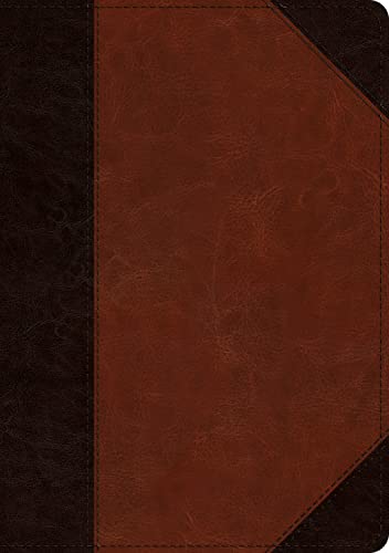 ESV Large Print Wide Margin Bible (Trutone, Brown/Cordovan, Portfolio Design) by Esv Bibles, Imitation Leather book cover