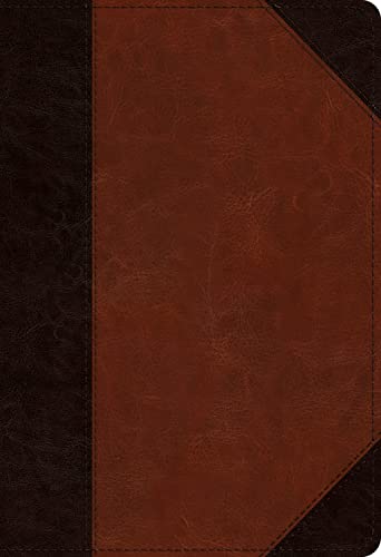 ESV Student Study Bible (Trutone, Brown/Cordovan, Portfolio Design) by Esv Bibles, Imitation Leather book cover
